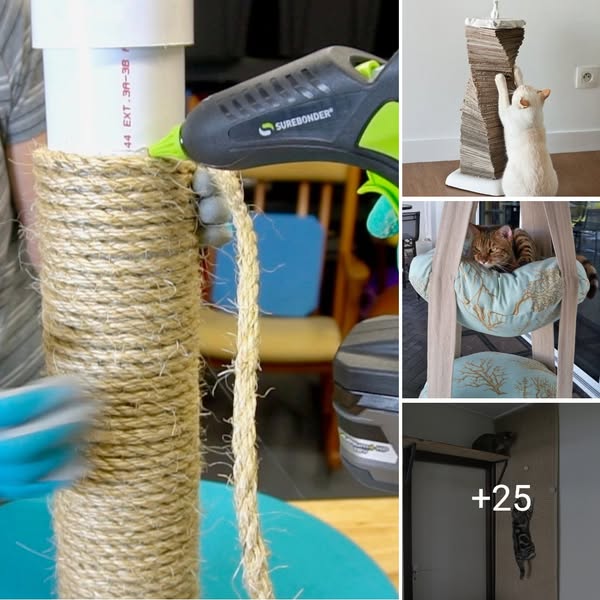 35+ Best Homemade Cat Toys Your Cat Will Love